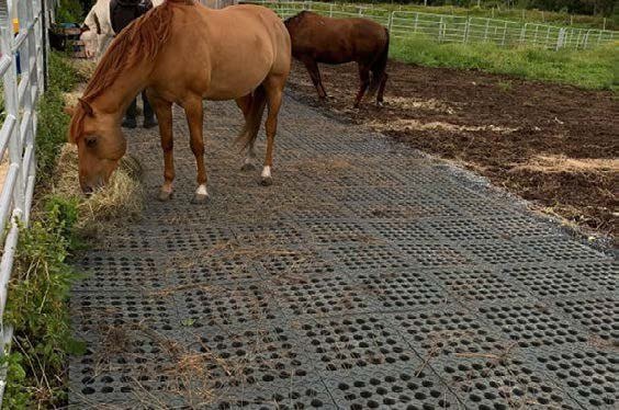 Turnout area kept firm and mud-free through wet weather